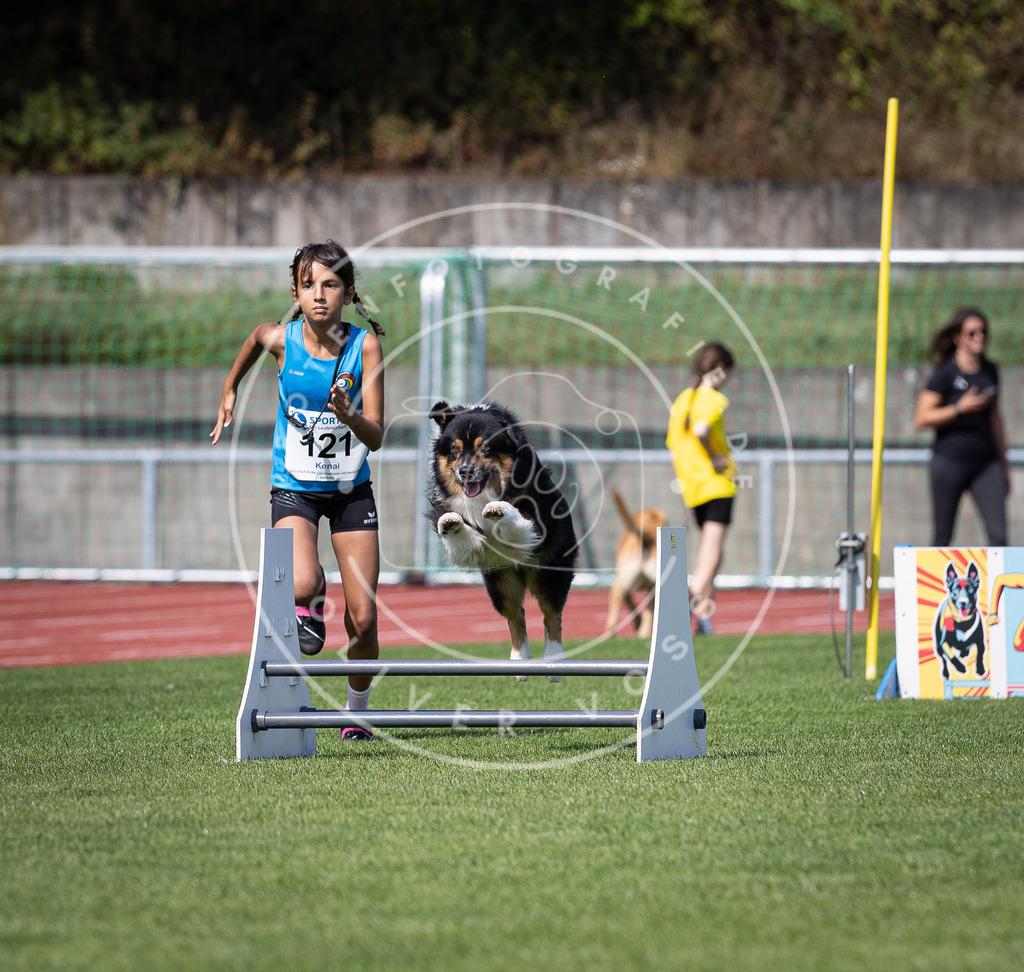 Pfotenfotografie_DV3A8481 | Hundefotografie, Tierfotograf, Pfotenfotografie, Fotoshooting Hund, Hunde Portrait, Hundesport, Hundeportraits, Heideshooting, Hunde, Sportfotograf, Hundefotograf, Turnierhundsport, THS,  - Realisiert mit Pictrs.com