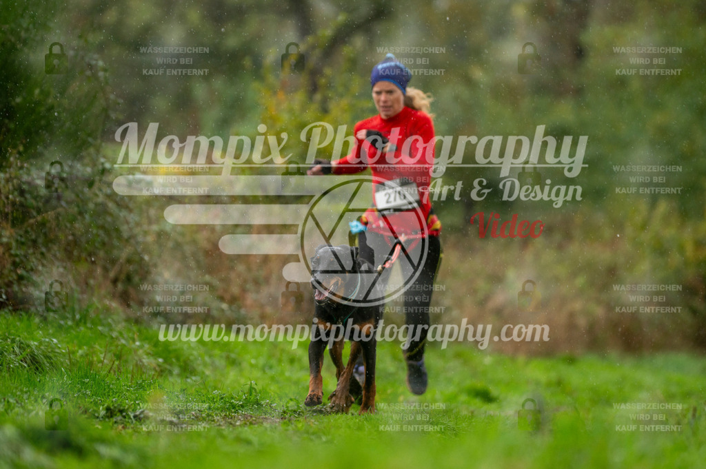 TSB_2023_E6_Canicross-114 | PayLife