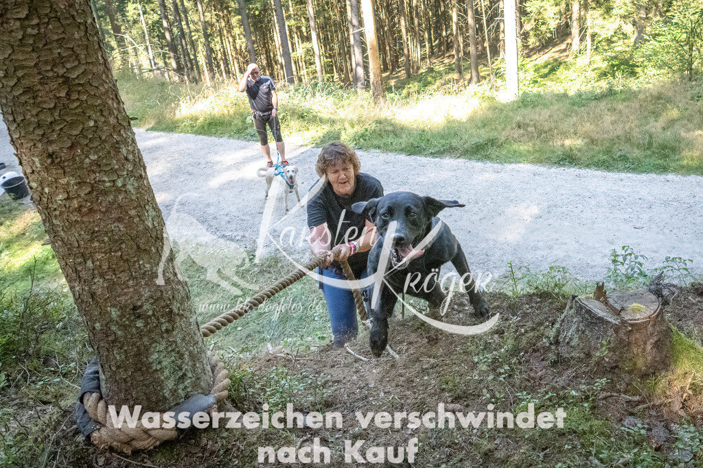 1152_ZZ92294 | kk-dogfotos