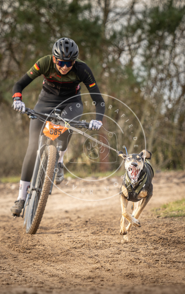 Pfotenfotografie_DV3A7593 | Hundefotografie, Tierfotograf, Pfotenfotografie, Fotoshooting Hund, Hunde Portrait, Hundesport, Hundeportraits, Heideshooting, Hunde, Sportfotograf, Hundefotograf, Turnierhundsport, THS,  - Realisiert mit Pictrs.com