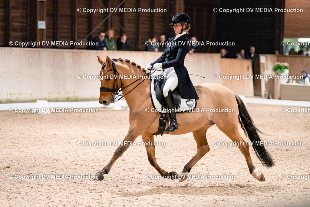 Dressur Tag 2-626 | dv-media-shop - Realisiert mit Pictrs.com