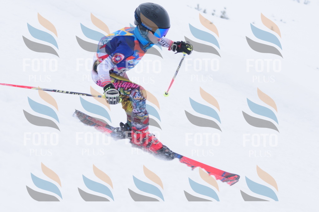 C2382 | holidayphoto