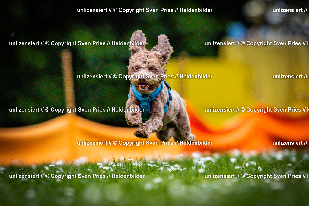 Sven Pries | 2025-05-29 - Pudelrennen KA-Durlach - Realisiert mit Pictrs.com