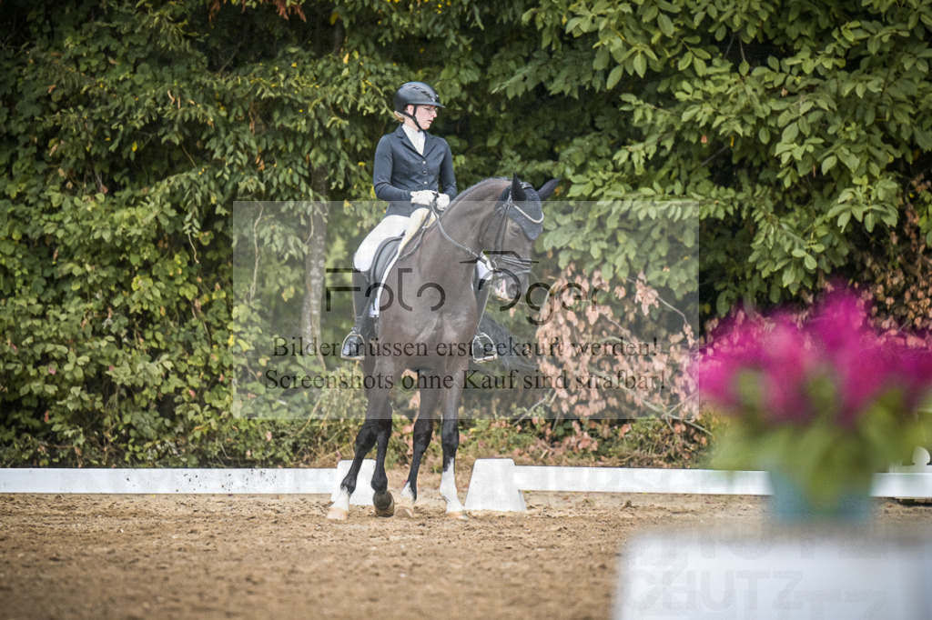 DOS_4758 | Entdecke hochwertige Reitturnierfotos von Foto Oger. Professionell, emotional und authentisch – jetzt Lieblingsmomente im Shop bestellen.Deutschlandweite Turnierfotografie. - Realisiert mit Pictrs.com