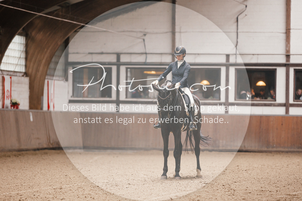 3I6A8175 | Stimmungsvolle Portraits und Reitsportfotografie im Ruhrgebiet und im Münsterland.

Pferdefotografie, Hundefotografie, Tierfotografie, Reportagen, Portraits von Tier und Mensch, Turnierfotografie in Bochum, Recklinghausen, Marl, Haltern am See, Dülmen.. - Realisiert mit Pictrs.com