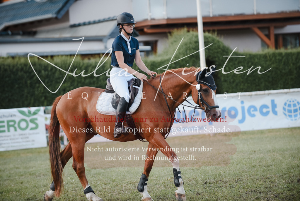 DSC_5357 | Pferde- und Turnierfotografie in Westsachsen. Pferdeportraits, Auftragszeichnungen und intuitive Kunst.