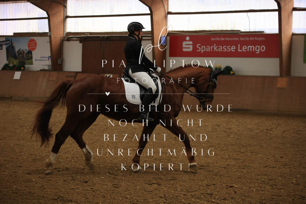 IMGT0066 | pl-fotografie