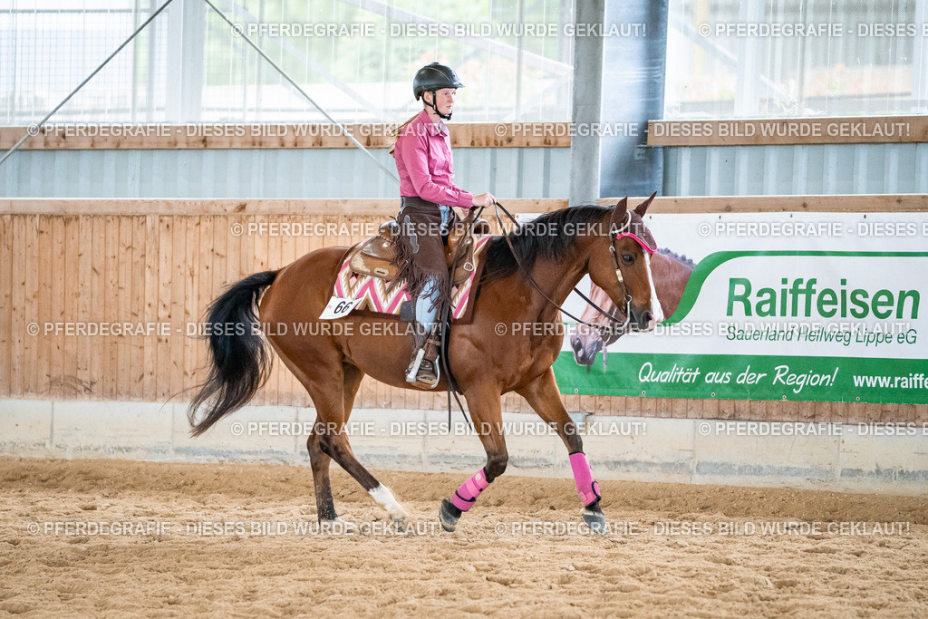 DSC01275 | Pferdegrafie