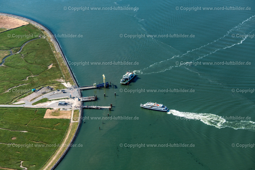 Hallig_Hooge_Hilligenlei_Fährschiff_Wyker_Dampfschiffsreederei_Föhr-Amrum_ELS_9111130822 | HOOGE 13.08.2022 Hallig Hooge Hafenanlage mit Passagierschiff " Adler Express " und " Hilligenlei Fährschiff " beim Anlegen im Bundesland Schleswig-Holstein, Deutschland. Weiterführende Informationen bei: Adler-Schiffe GmbH & Co. KG. // Hallig Hooge port facility with passenger ship "Adler Express" and "Hilligenlei ferry" when docking in the state of Schleswig-Holstein, Germany. Further information at: Adler-Schiffe GmbH & Co. KG. Foto: Martin Elsen