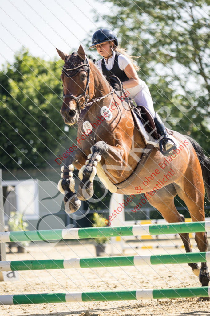 IMG_2957 | Sport-, Event- und Tierfotos in Profiqualität. Einfach auswählen, bestellen und herunterladen. Dein Moment – perfekt festgehalten.