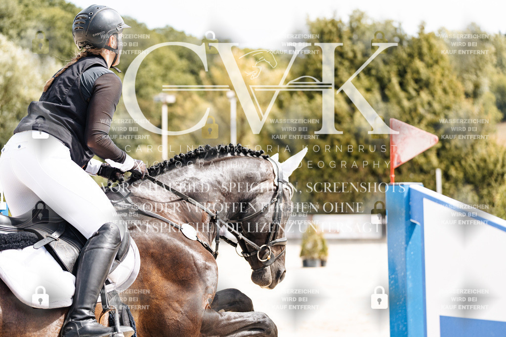 CK906634 | Turnierfotografie Pferdefotografie Trier Rheinland-Pfalz Pferdesport Reitsport Tierfotografie Sportfotografie Pferdevideo Pferdevideografie Equestrianvideography equestrianphotography  - Realisiert mit Pictrs.com
