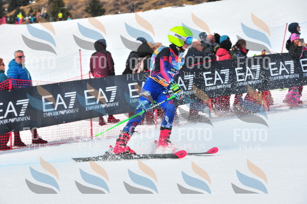 DSC_6501 | holidayphoto