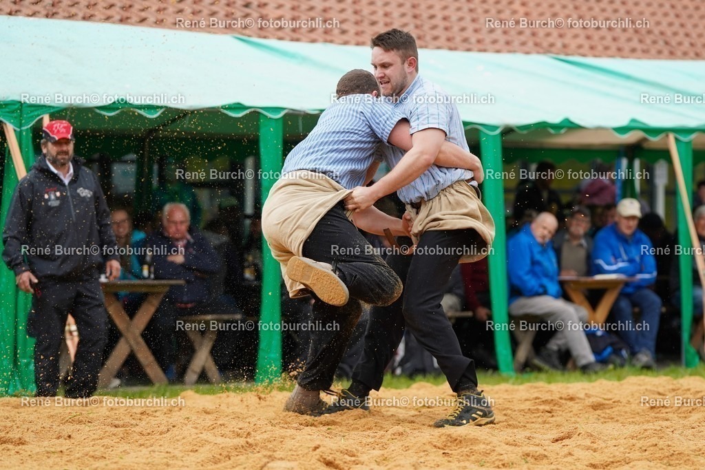20220424-DSC00287 | René Burch leidenschaftlicher Fotograf aus Kerns in Obwalden.  Hier finden sie Sport, Landschaft und Natur Fotografie.
 - Realisiert mit Pictrs.com