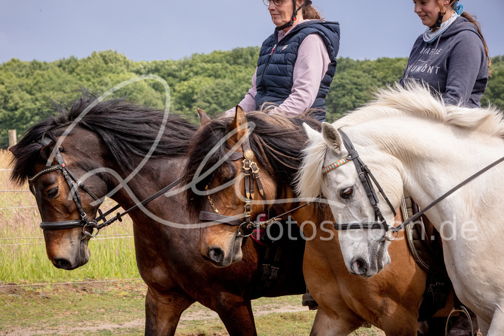 846A0967 | fotosleben - Realisiert mit Pictrs.com