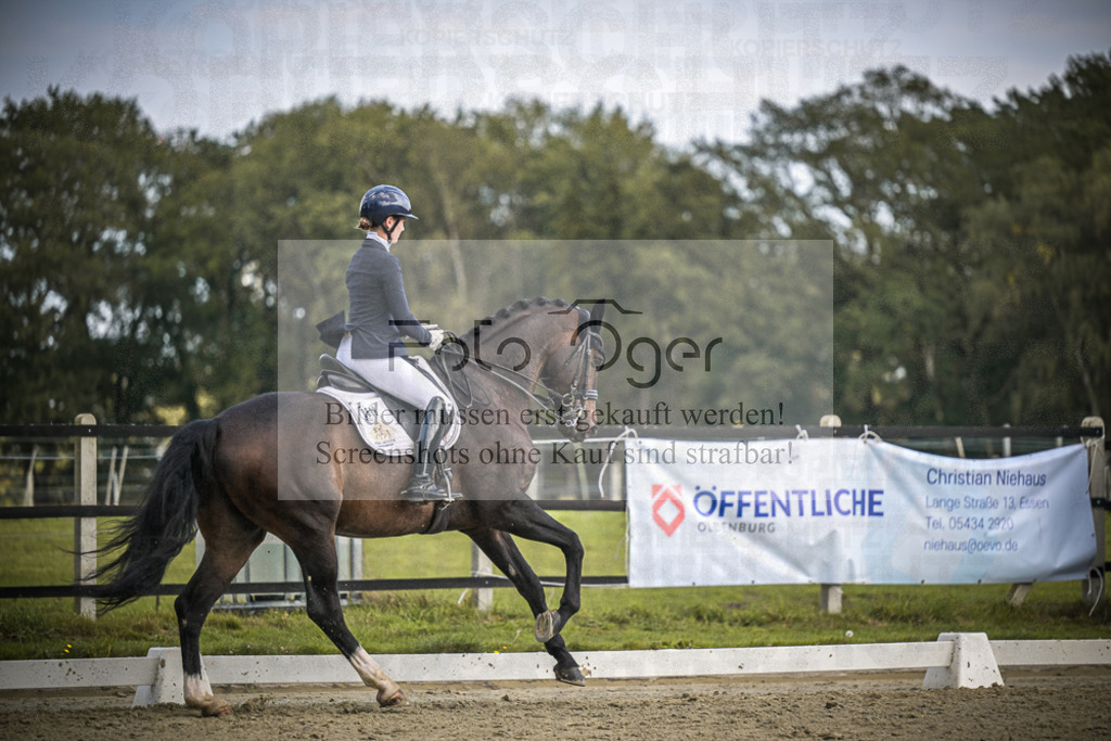 DOS_0072 | Entdecke hochwertige Reitturnierfotos von Foto Oger. Professionell, emotional und authentisch – jetzt Lieblingsmomente im Shop bestellen.Deutschlandweite Turnierfotografie. - Realisiert mit Pictrs.com