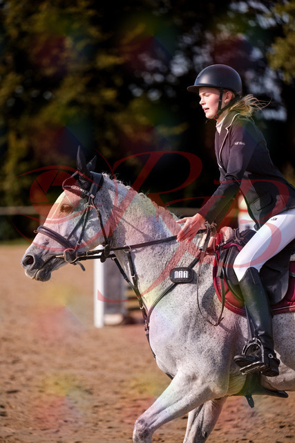 2026_10_03_Siefer-Hof_155204_Z81_71851251 | Professionelle Reitsport-, Turnier- und Eventfotografie von Robert Broda. Galerien mit ausgewählten und bearbeiteten Bildern direkt online ansehen und bestellen.