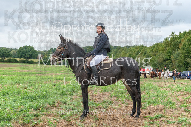 Jagd Perdoel_MarinaHewigDSCF3859 | Fotografie, FotoArt, PferdesportArt, Pferdesportfotografie, Landschaftsfotografie, Reisefotografie, Reise, Pferde - Realisiert mit Pictrs.com