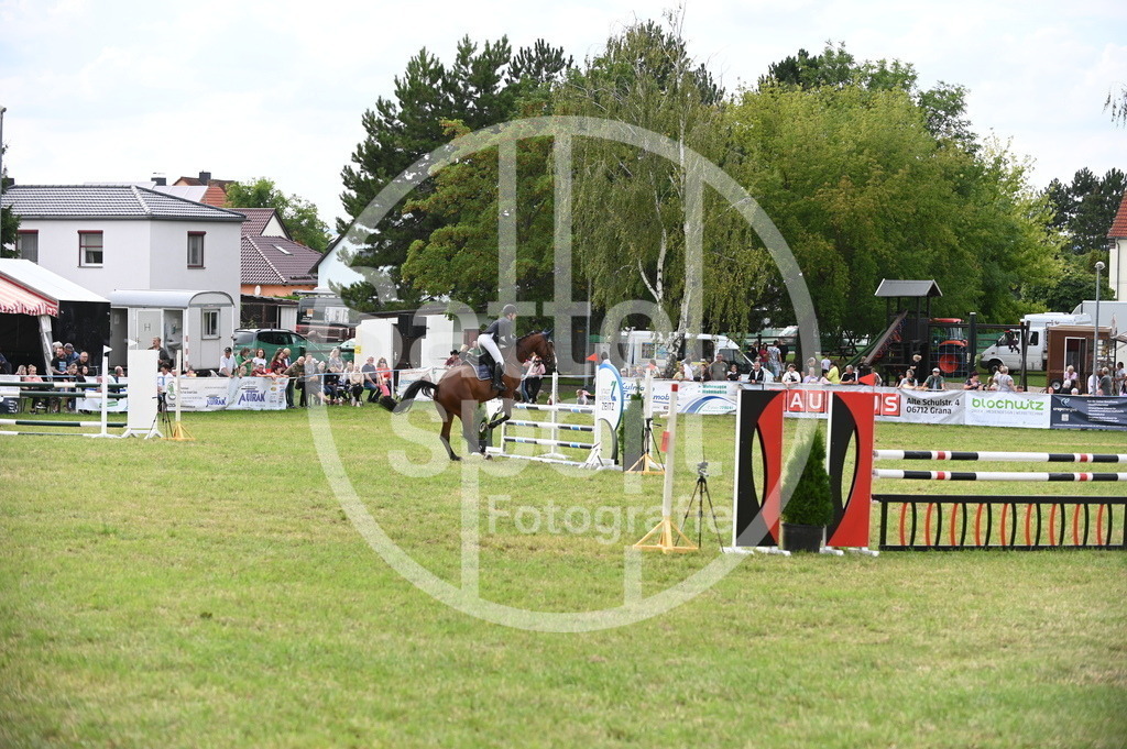 DSC_3376 | sattelsport - Realisiert mit Pictrs.com