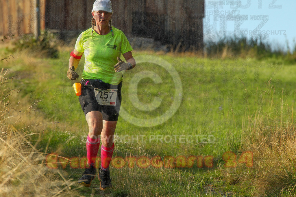 250801_1920_EV4_8554 | Sportfotografie im Rhein-Sieg Kreis, Köln, Bonn, NRW, Rheinland Pfalz, Hessen, etc. Unser Tätigkeitsfeld umfasst den Laufsport vom Volkslauf über den Marathon, Duathlon, Triathon bis zum Ultralauf wie Kölnpfad Ultra oder Schindertrail.