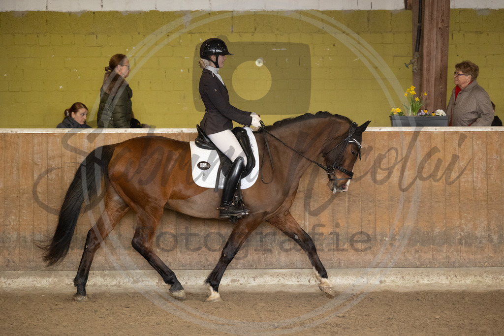 994A8961 | sabrinanicolaifotografie - Realisiert mit Pictrs.com