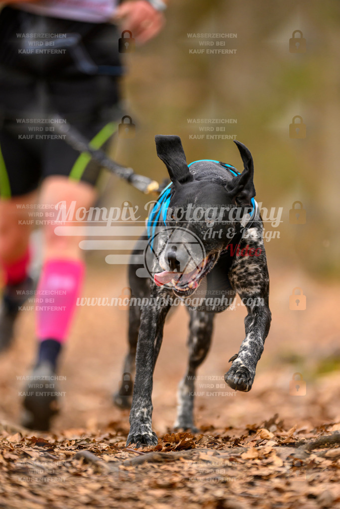 MompixPhotography_Habay2025_SA_CCC-59 | PayLife