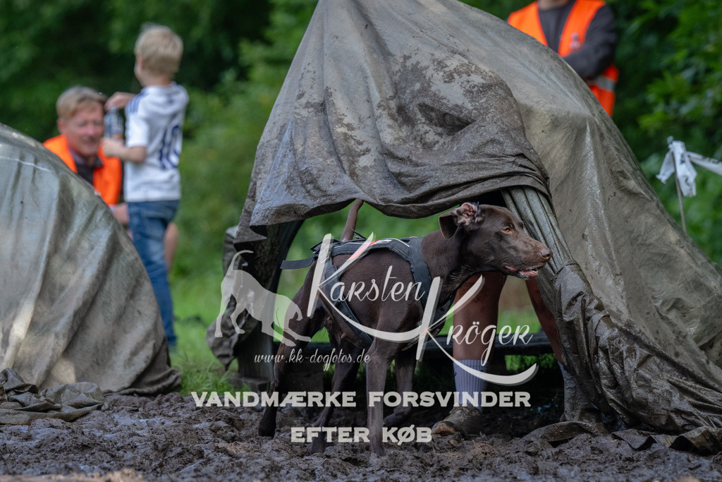 1703_ZZ90937 | kk-dogfotos