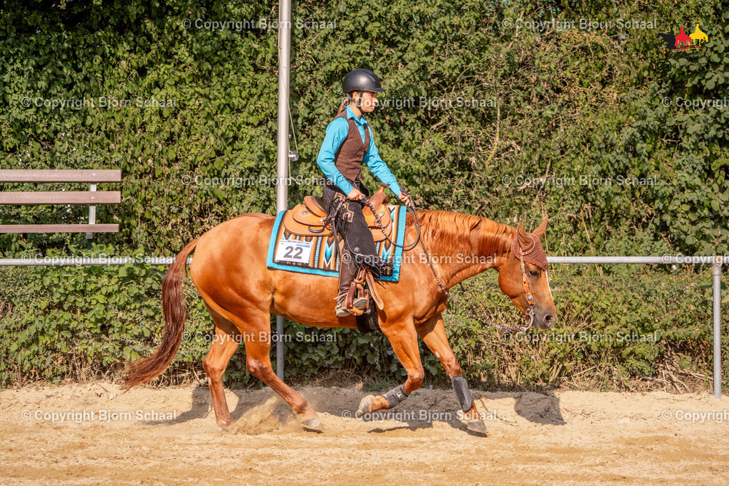LMB02138 | BS-foto