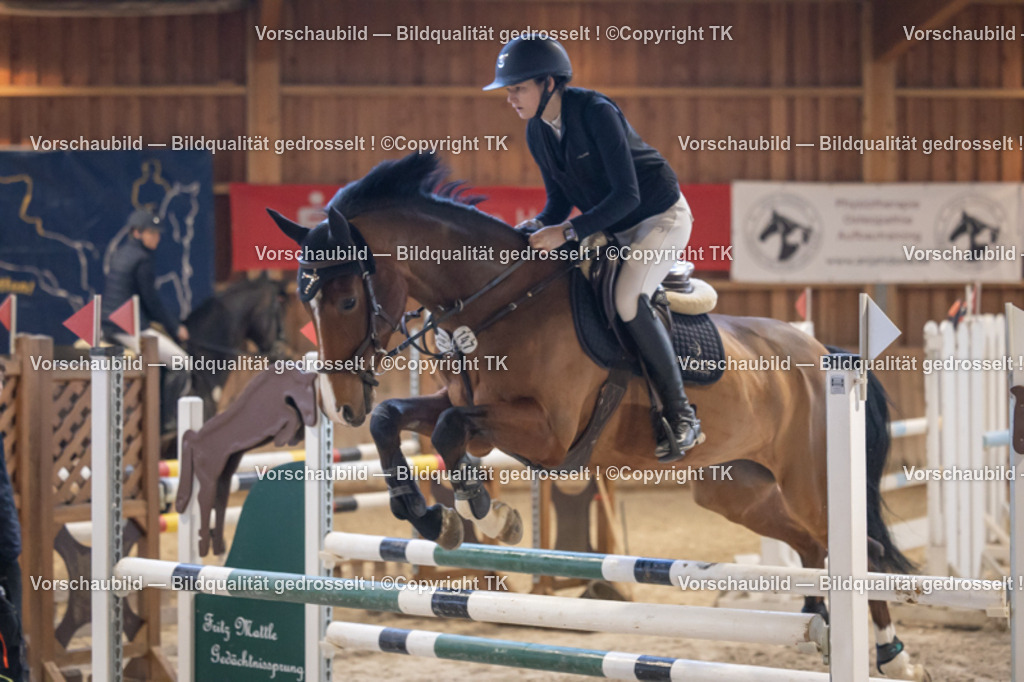 _D5A9252 | Emotionale Pferde- & People-Fotografie rund um Heidelberg, Leimen & Umgebung. Natürliche Fotos von Pferd, Mensch & Familie. Jetzt Termin sichern!