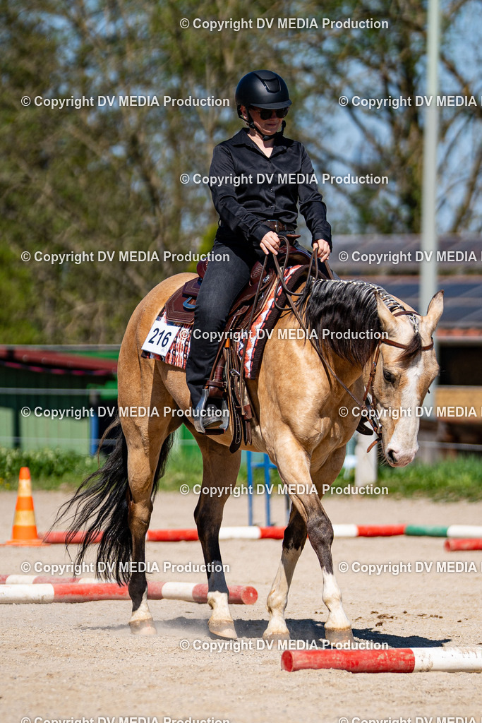 Balingen Tag 1-944 | dv-media-shop - Realisiert mit Pictrs.com