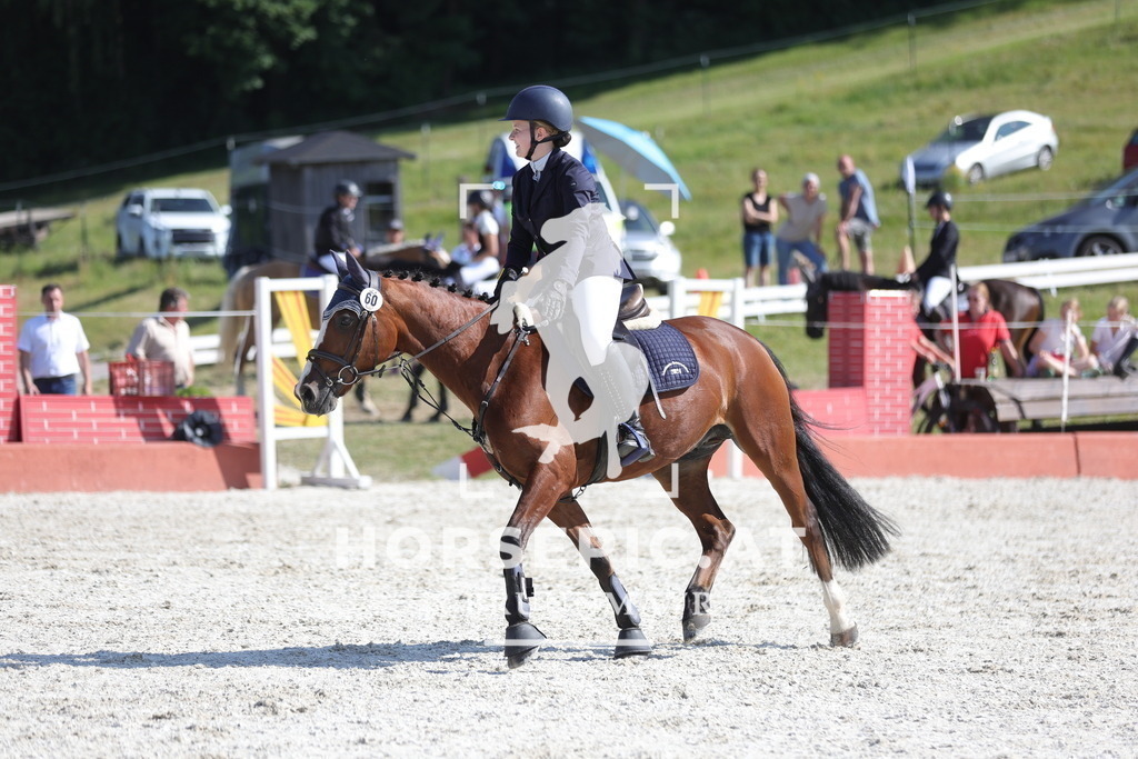 0P6A7567 | Willkommen bei Brunnmayr - Design & Fotografie – Ihrem Spezialisten für Reitturniere und Pferdeveranstaltungen in Oberösterreich, Salzburg und Bayern! Seit über 17 Jahren sind wir leidenschaftlich dabei.
