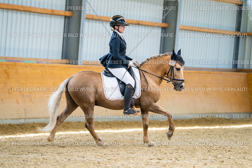 DSC09242 | Pferdegrafie