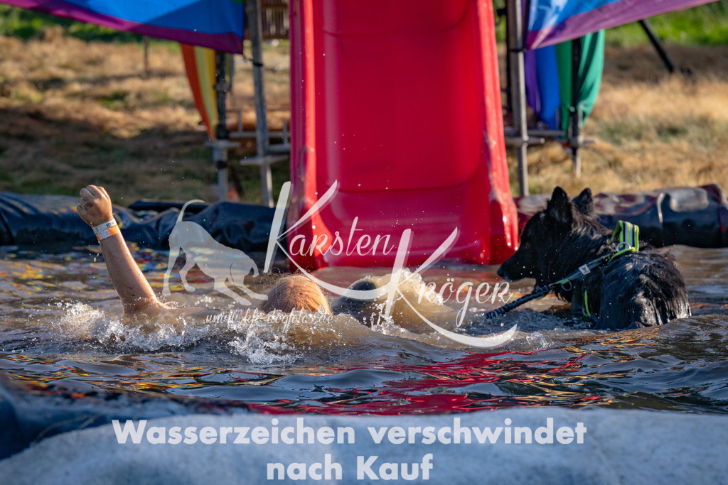 1741_ZZ91743 | kk-dogfotos