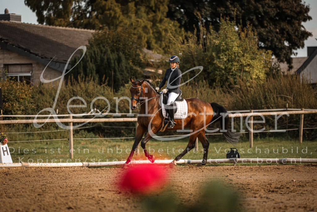 17.SoDrM00359 | Leoni Ertmer Photography - Realisiert mit Pictrs.com