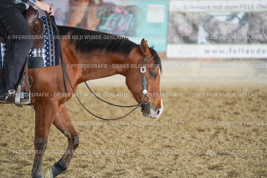 DSC09811 | Pferdegrafie