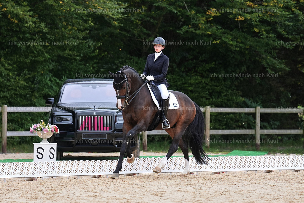 3-224-Dressur M_-Marixx-2037 | working equitationturnier fotograf videograf stoibphotography marixx film working equitation deutschland reitsport turnierfotografie eventfotografie equestrian events