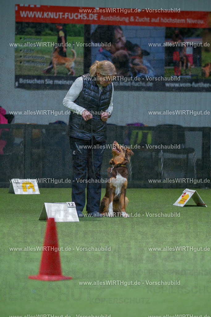 7R501358 | Professionelle Tierfotografie in Mönchengladbach von Daniel Wirth (allesWIRTHgut). Liebevolle & natürliche Bilder von Hunden & Katzen für unvergessliche Erinnerungen.