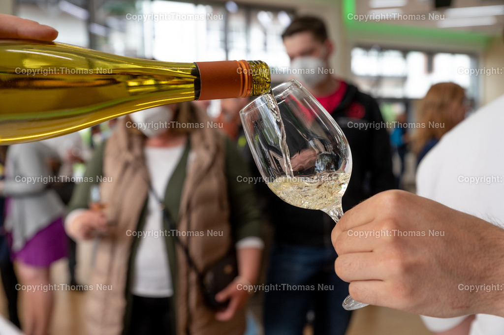 DSC_7990 | Der Bergsträßer Weintreff ist traditionell die Auftaktveranstaltung für den Bergsträßer Weinfrühling. Alljährlich April  bietet der Weintreff im Bürgerhaus Bensheim die einmalige Gelegenheit, fast 170 Bergsträßer Weine, Seccos und Sekte von 19 Weinbaubetrieben an einem Ort zu probieren. Nahezu alle Bergsträßer Betriebe sind vertreten und bieten ihre Spezialitäten an. Bild: Thomas Neu