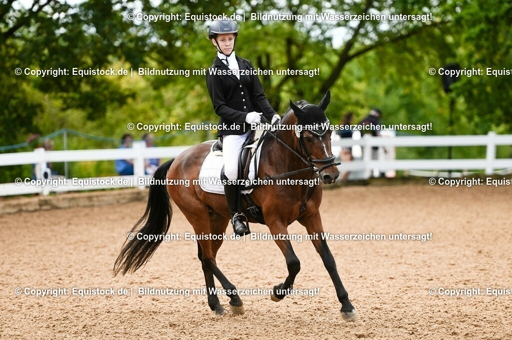 20230716_10-2_Reiter-WB Schritt - Trab - Galopp_0109 | equistock