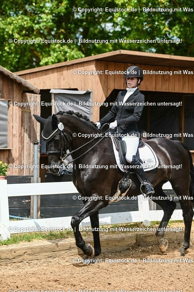 20230716_01_Dressurprüfung Kl.M_0041 | equistock