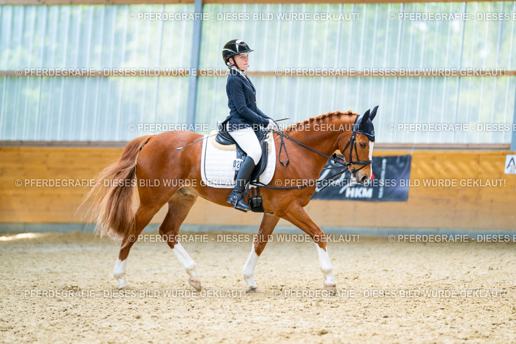 DSC09598 | Pferdegrafie