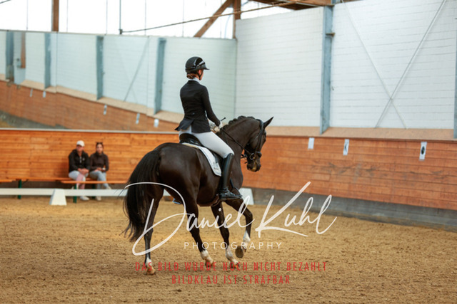 _62_6647 | Turniersportfotografie; Pferdefotografie; Dressurfotografie