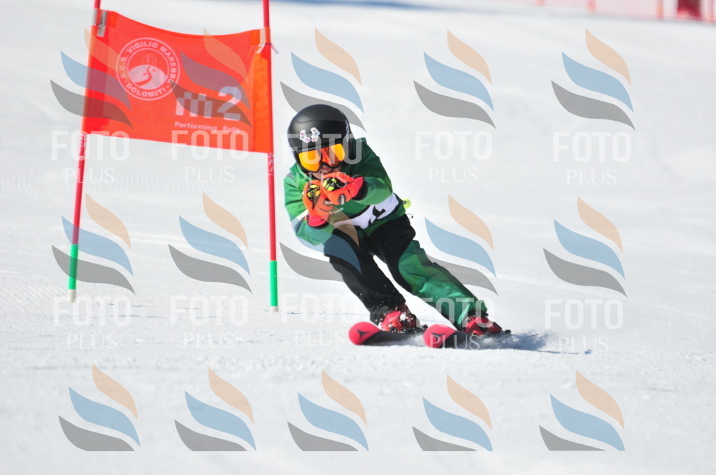 C3218 | holidayphoto