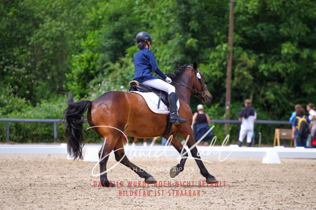 DKP46294 | Turnierfotos kaufen im Webshop von Daniel Kuhl Photography – entdecke professionelle Reitsportfotos aus Turnieren & Events. Hochwertige Turnierbilder online bestellen & sichern. Jetzt Fotos von Reitsportturnieren kaufen!