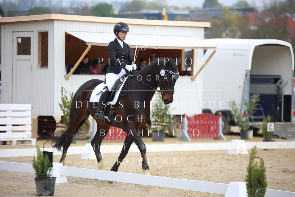 IMGT5351 | pl-fotografie