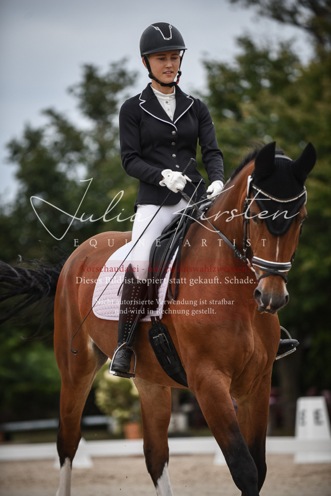 DSC_8252 | Pferde- und Turnierfotografie in Westsachsen. Pferdeportraits, Auftragszeichnungen und intuitive Kunst.