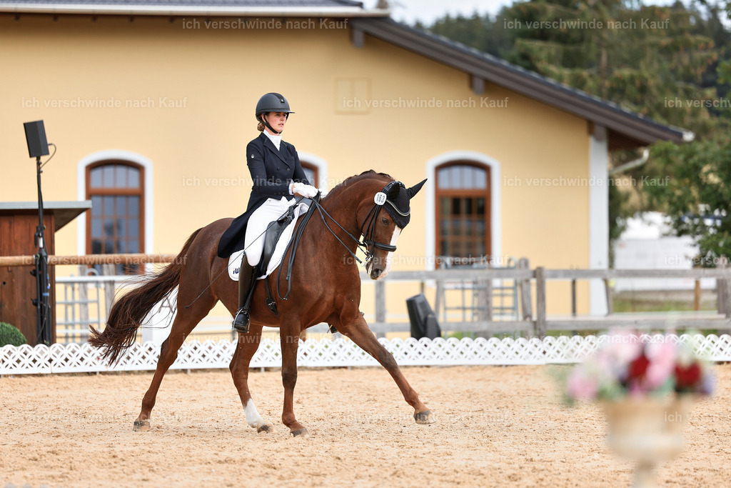 6-163-AMATUER-DRESSUR S_  -StoibPH-3474 | working equitationturnier fotograf videograf stoibphotography marixx film working equitation deutschland reitsport turnierfotografie eventfotografie equestrian events
