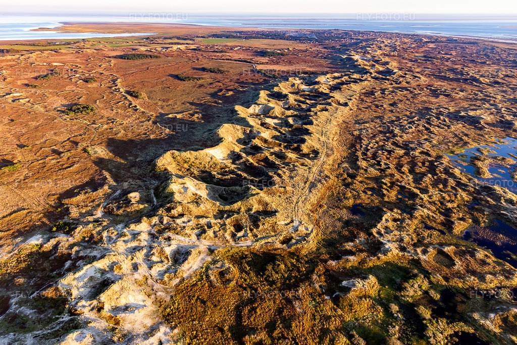 Vue aérienne: Paysage de sable, de dunes et de côtes dans le parc national de la mer des Wadden sur l'île de Fanø à Fanø dans le département Syddanmark, Danemark. Photo: IMG_118965.jpg prise le 21/09/2019 par Werner Riehm/FLY-FOTO.euRésolution de l'original: 5158 x 3439 px