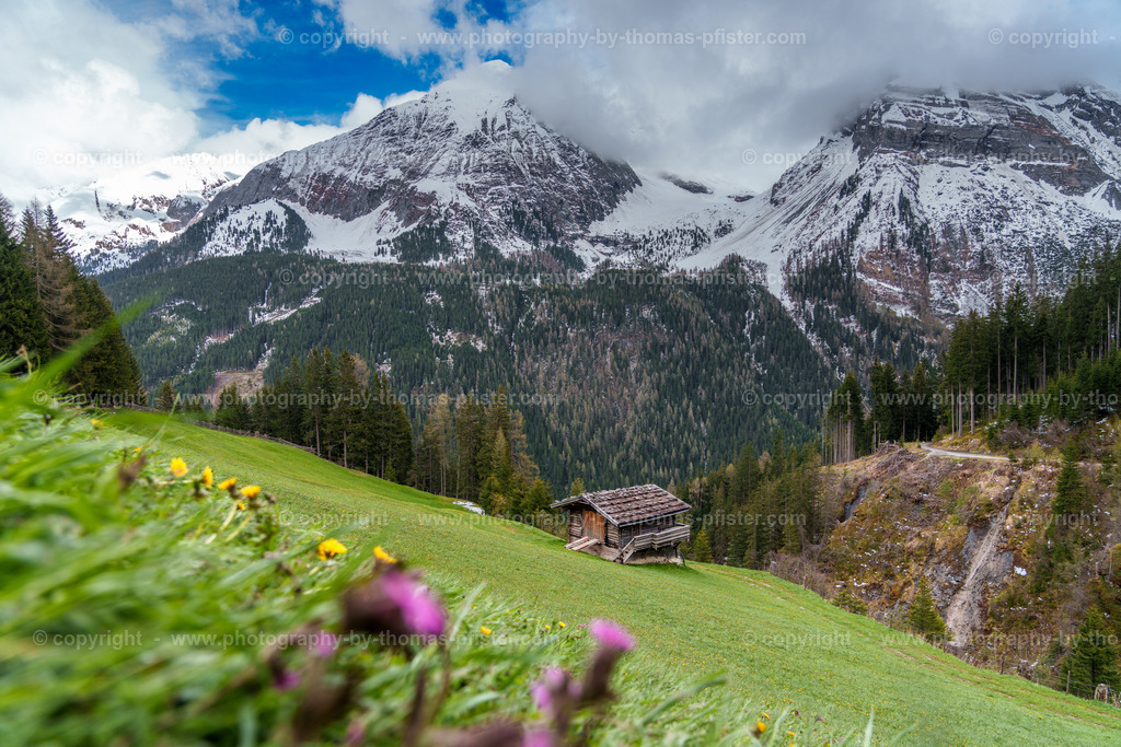 Aigen Aste Madseit copyright  Thomas Pfister-2 | PHOTOGRAPHY BY THOMAS PFISTER