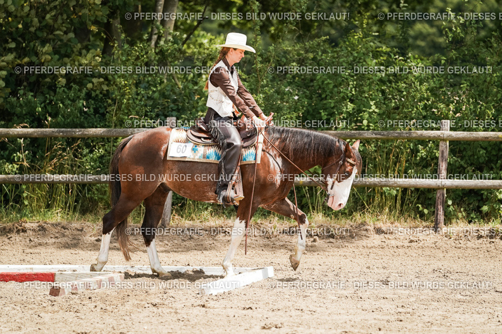 DSC07993 | Pferdegrafie