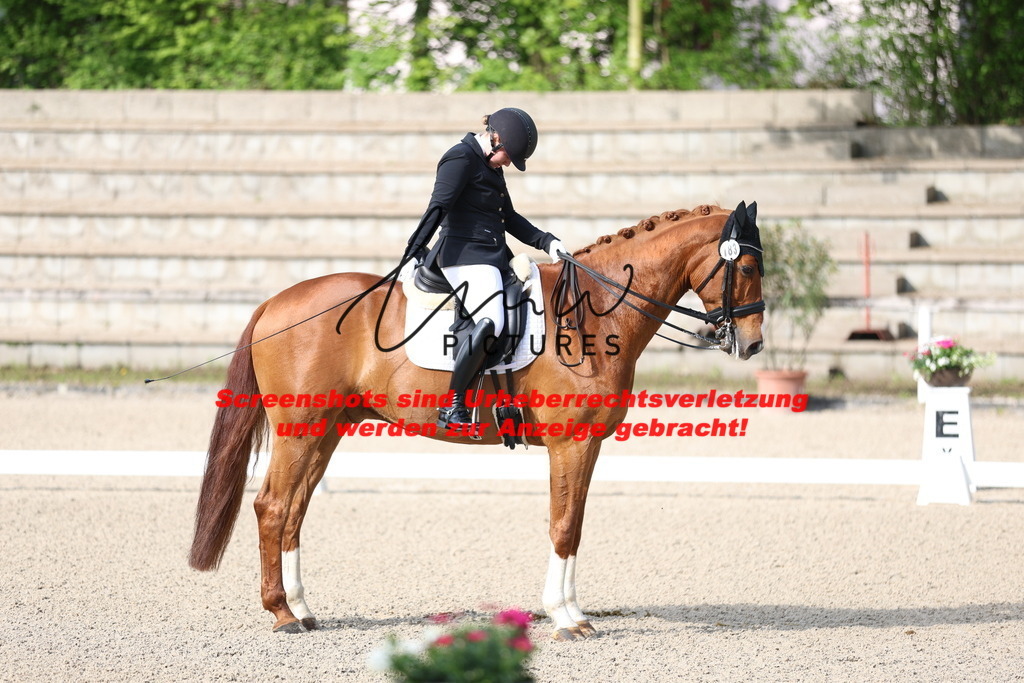 A40A3337 | lmwpictures - Realisiert mit Pictrs.com